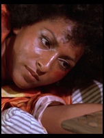 Pam Grier Nude Pictures