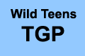 Wild Teens