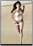 Penolope Cruz nude