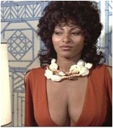 pam-grier-06.jpg -  48 KB
