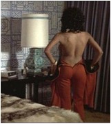 pam-grier-10.jpg -  67 KB