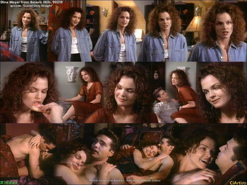 Dina Meyer Mr Skin