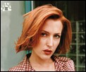 gillian-anderson06.jpg -  131 KB