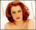 gillian-anderson11.jpg -  82 KB