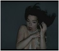 bjork-06.jpg -  24 KB