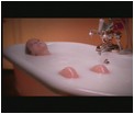bjork-12.jpg -  28 KB