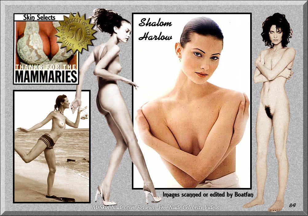 Shalom harlow nude