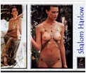 shalom-harlow11.jpg -  119 KB