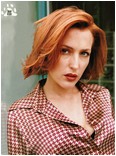 gillian-anderson-08.jpg -  132 KB